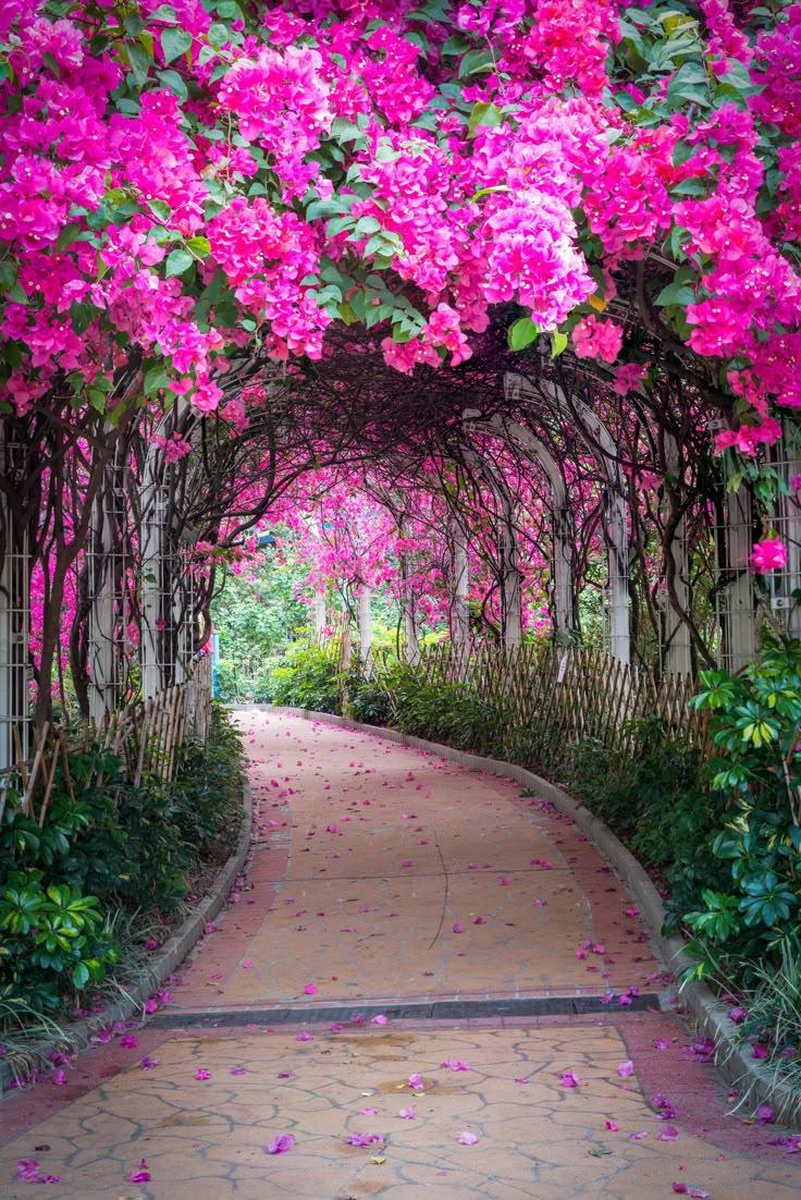 Enchanted Garden Symphony